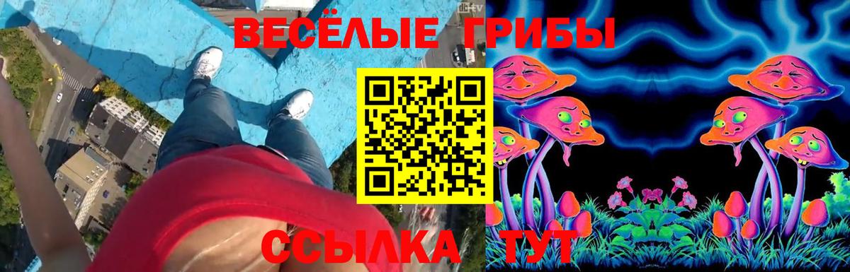 Галлюциногенные грибы мухоморы  Галлюциногенные грибы Psilocybe  Избербаш  Вход с VPN 